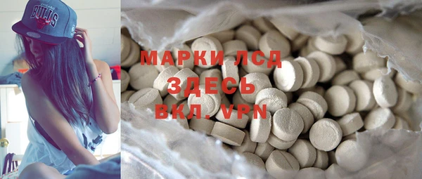 тгк Инсар