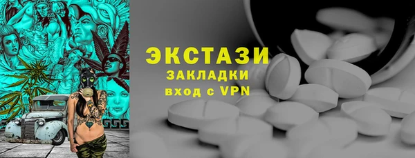 тгк Инсар