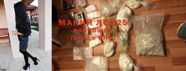 ГАЛЛЮЦИНОГЕННЫЕ ГРИБЫ Пересвет