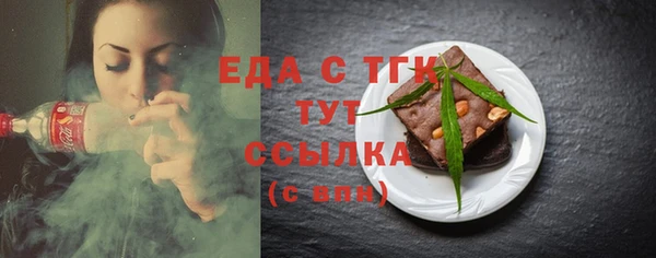 тгк Инсар