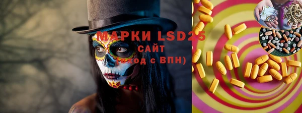 тгк Инсар