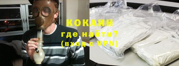 трава Инта