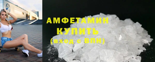 трава Инта