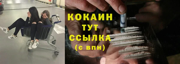 тгк Инсар