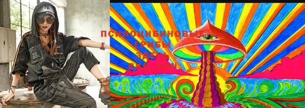 тгк Инсар