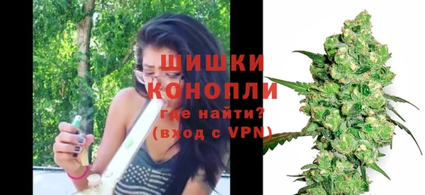 тгк Инсар